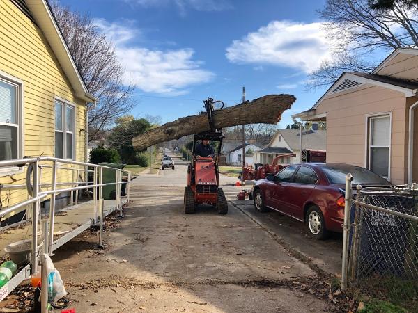 Rocket City Tree Service