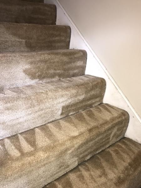 Marekcare Carpet Cleaning