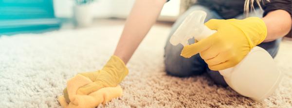 Quick Fix Carpet Cleaning