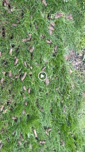 Treva LLC Landscaping & Snow Removal