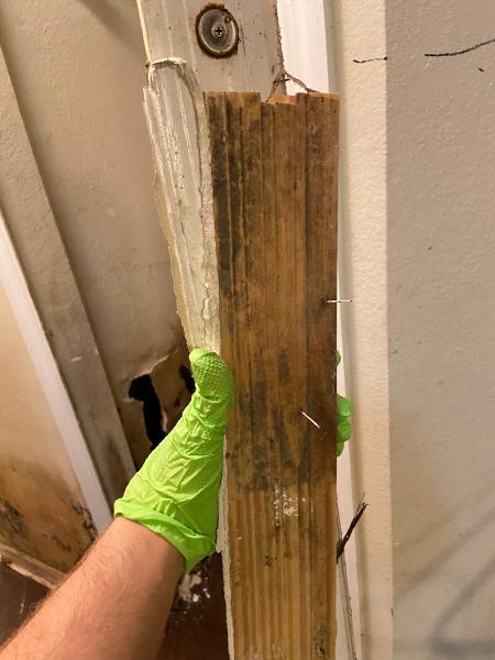 Pure Maintenance Mold Remediation