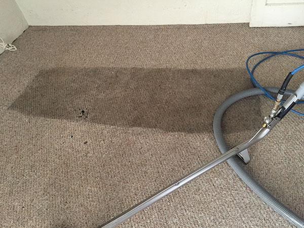 Carpet Savers