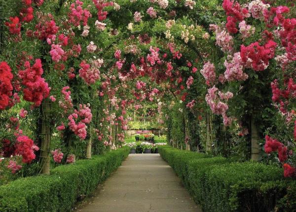 AA Landscaping
