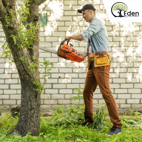 Eden Tree Company