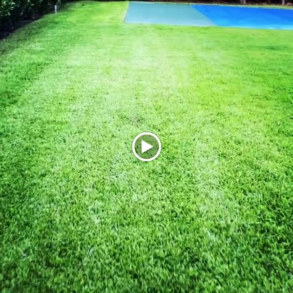 Arriagas Landscaping LLC