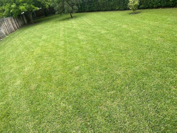 Arriagas Landscaping LLC