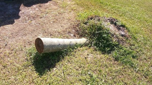Genesis Tree Services Inc