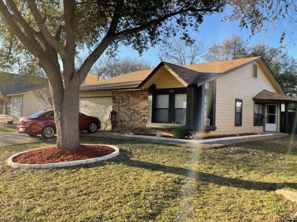 Alamo City Tree Service & Landscaping