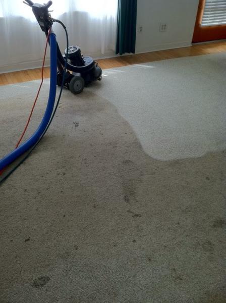 Above All Carpet Cleaning