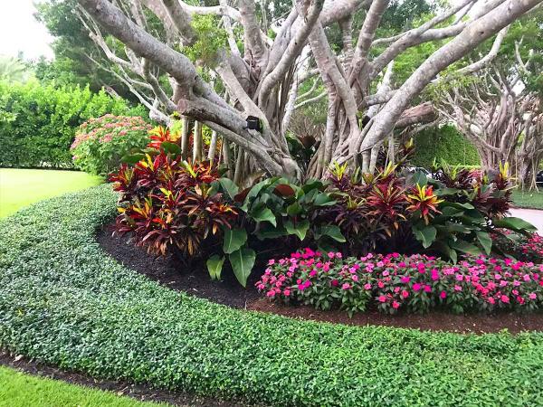 Bob's Complete Landscape and Maintenance
