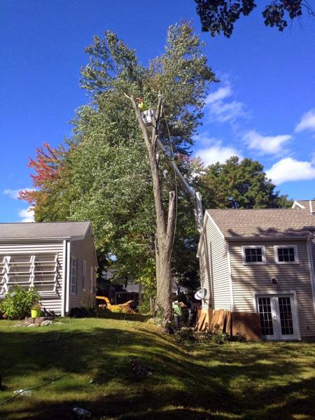 Oakwood Landscaping & Construction