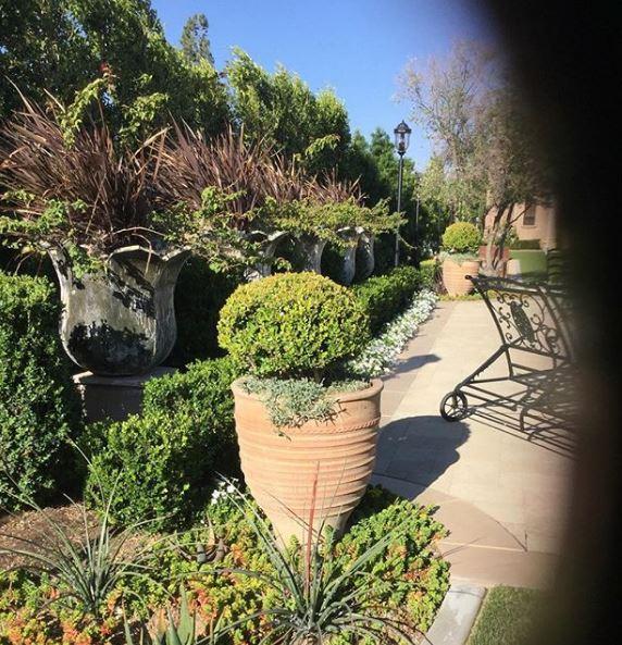Sunscapes Landscape Company Inc