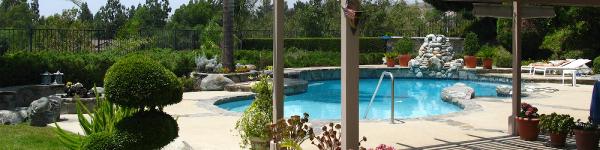 Arborist Tree Service Spokane