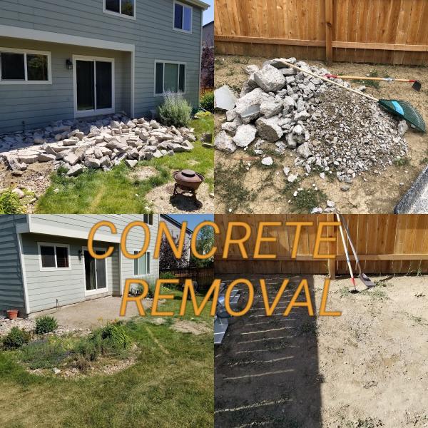 Positive Junk Removal and Demo.