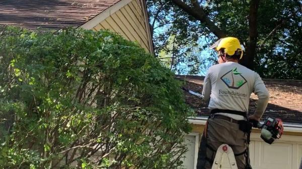 Foundations Tree Removal