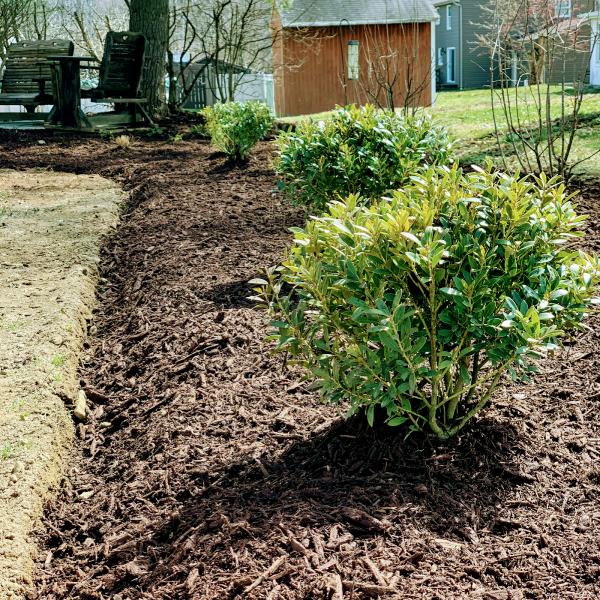 Local Roots Landscaping