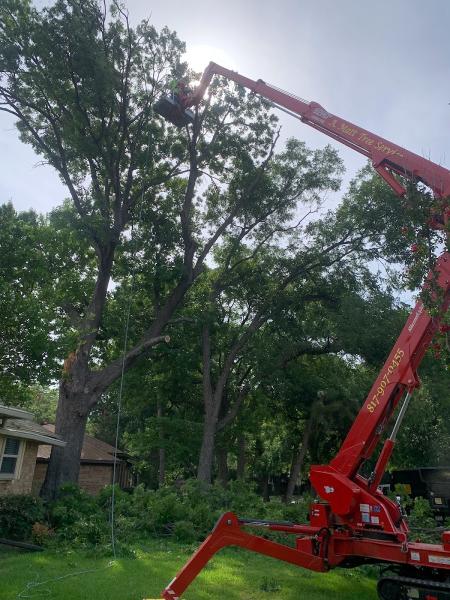 A. Matt Tree Service