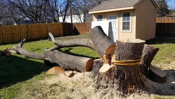 Paul Bunyan Tree Service