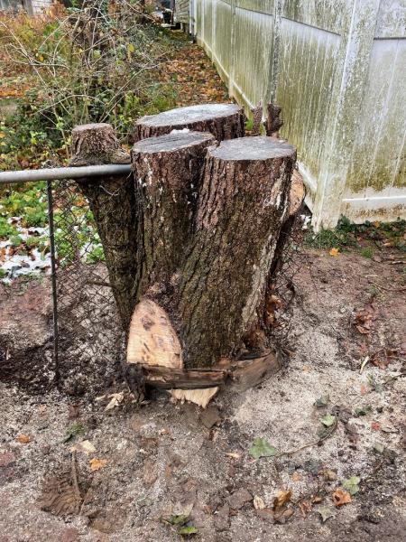 Timberlane Land Services
