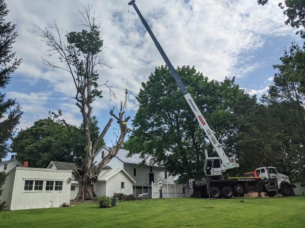 Timberlane Land Services