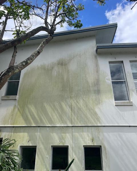 Mack's Power Washing