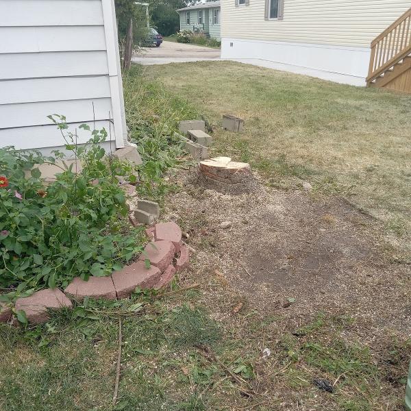 Pops Landscape