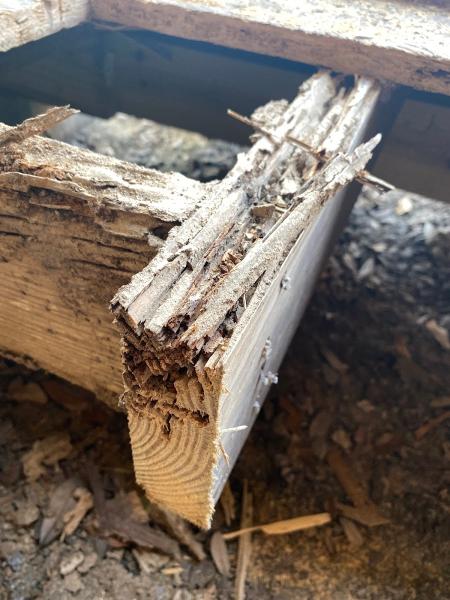 Enviro-Pest Management LLC