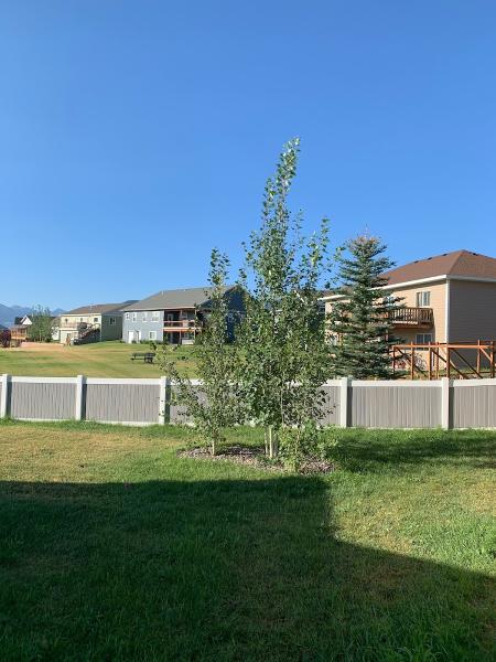 Yard Guard Lawn & Tree Care