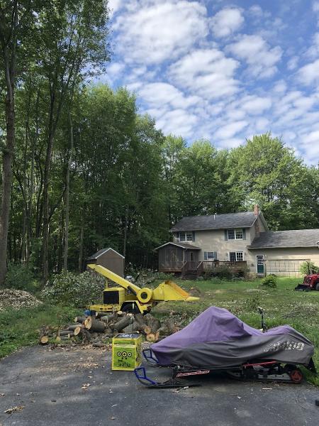 A Notch Above Tree Service