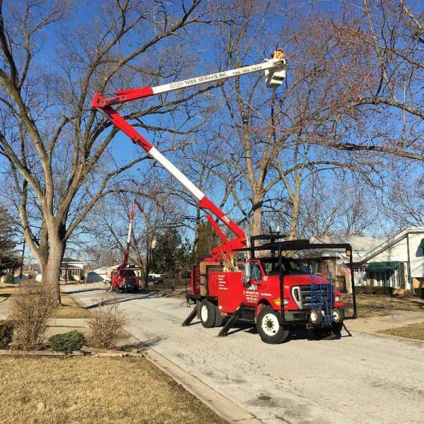Smitty's Tree Service Inc.