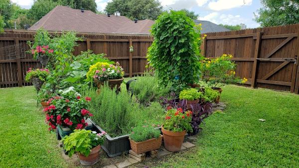 Soils Alive