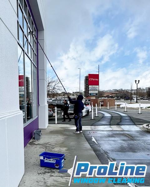 Pro Line Window Cleaning