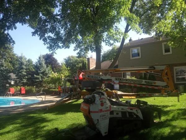 Cut Wood Tree Service