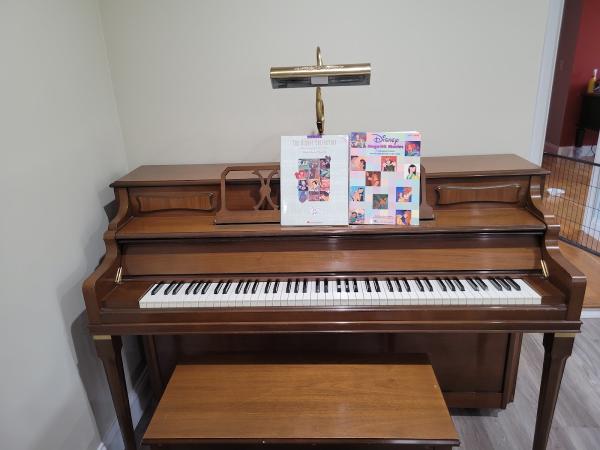 The Piano Mover