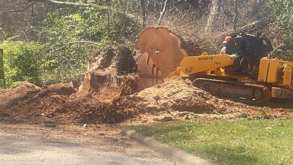 Scott's Stump Grinding and Tree Service