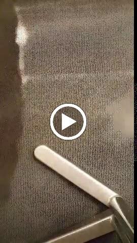 Coastal Breeze Carpet Care