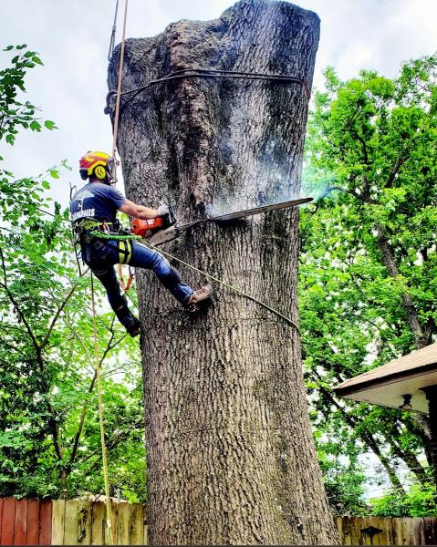 Memphis Tree Service LLC
