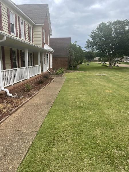 Memphis Tree Service LLC