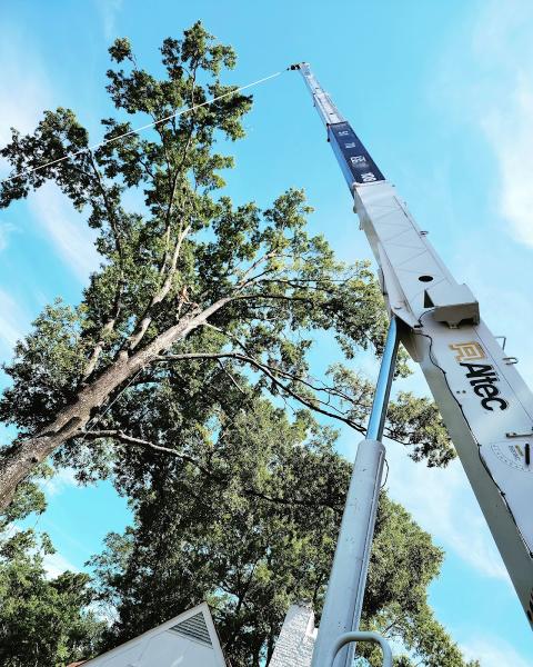 Memphis Tree Service LLC