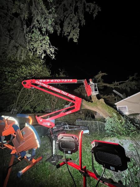 Central Florida Tree Care