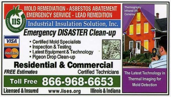 IIS