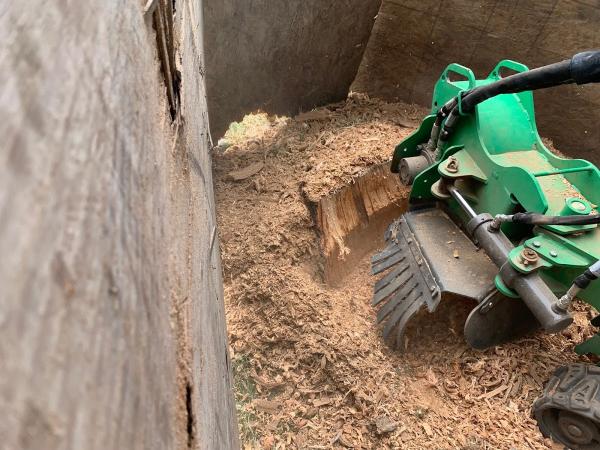 A & Z Tree Service/Landscaping