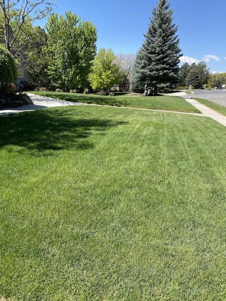 Green Grounds Lawn & Pest