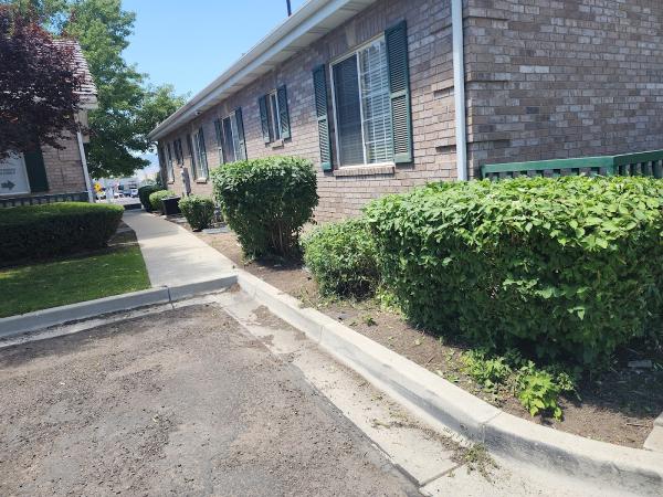 AC Landscaping Services
