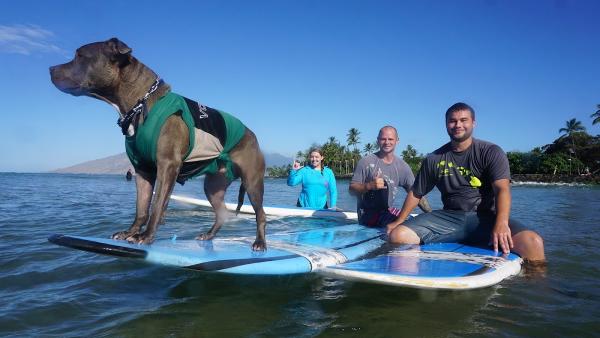 Hawaiian Management