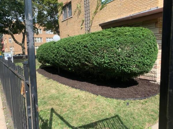 Mingo and Sons Lawn and Landscape LLC