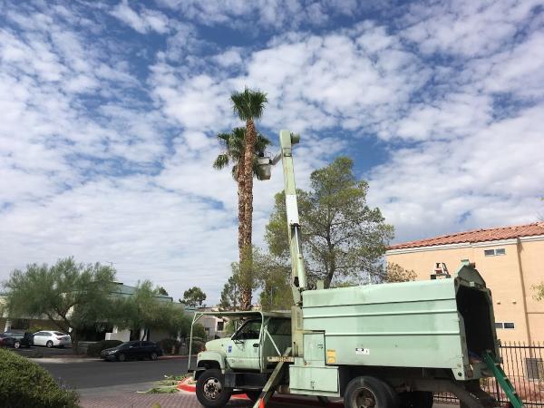 Royal Tree Service
