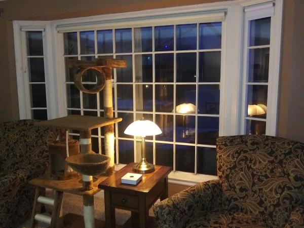 Sandstrom Windows