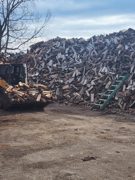 P Hernandez Tree Services