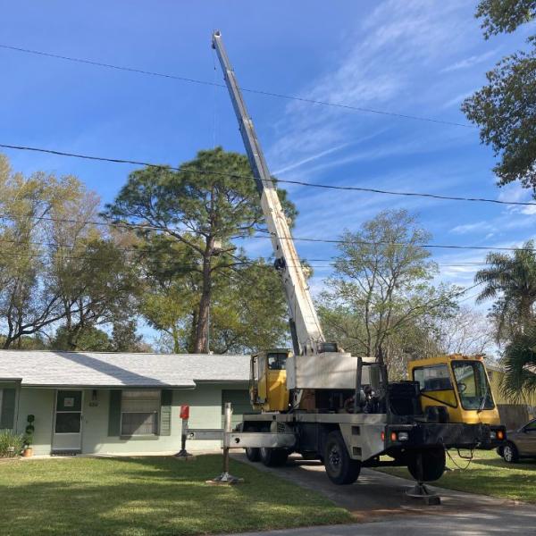 Duval and Son Services